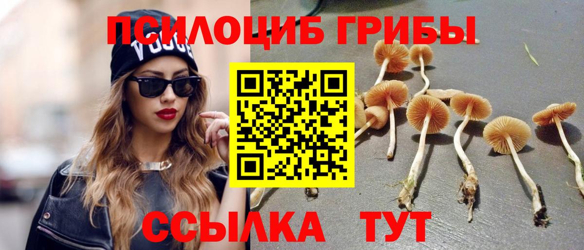 Галлюциногенные грибы мухоморы  Вход с VPN  Псилоцибиновые грибы Psilocybe  Касимов 